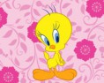 /album/spr-imagenes/piolin-jpg/
